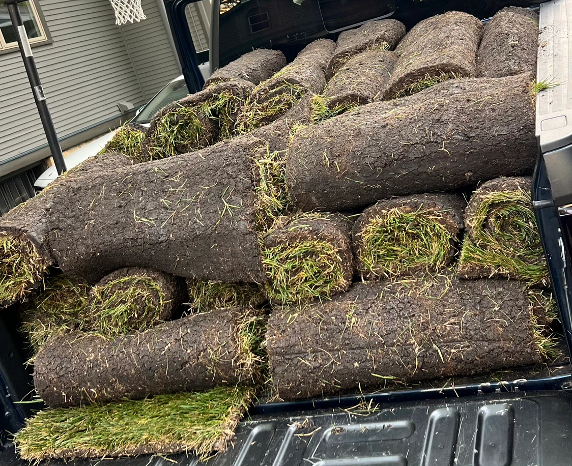Fresh Sod Rolls - Ready for Your Lawn 9 Left - photo 2