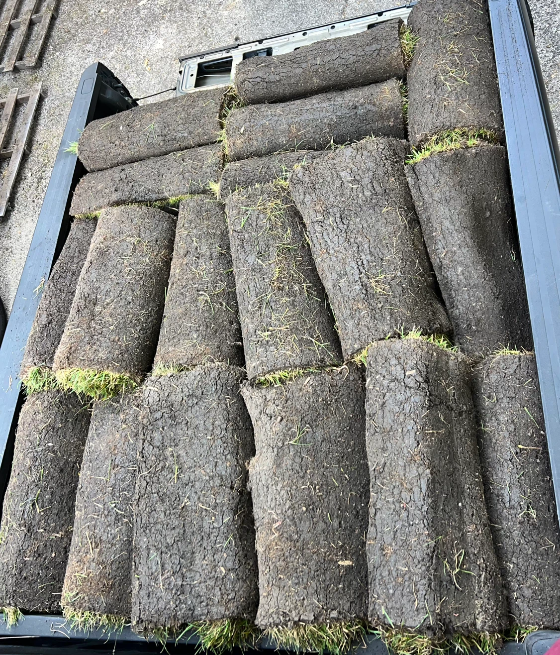 Fresh Sod Rolls - Ready for Your Lawn 9 Left - photo 3