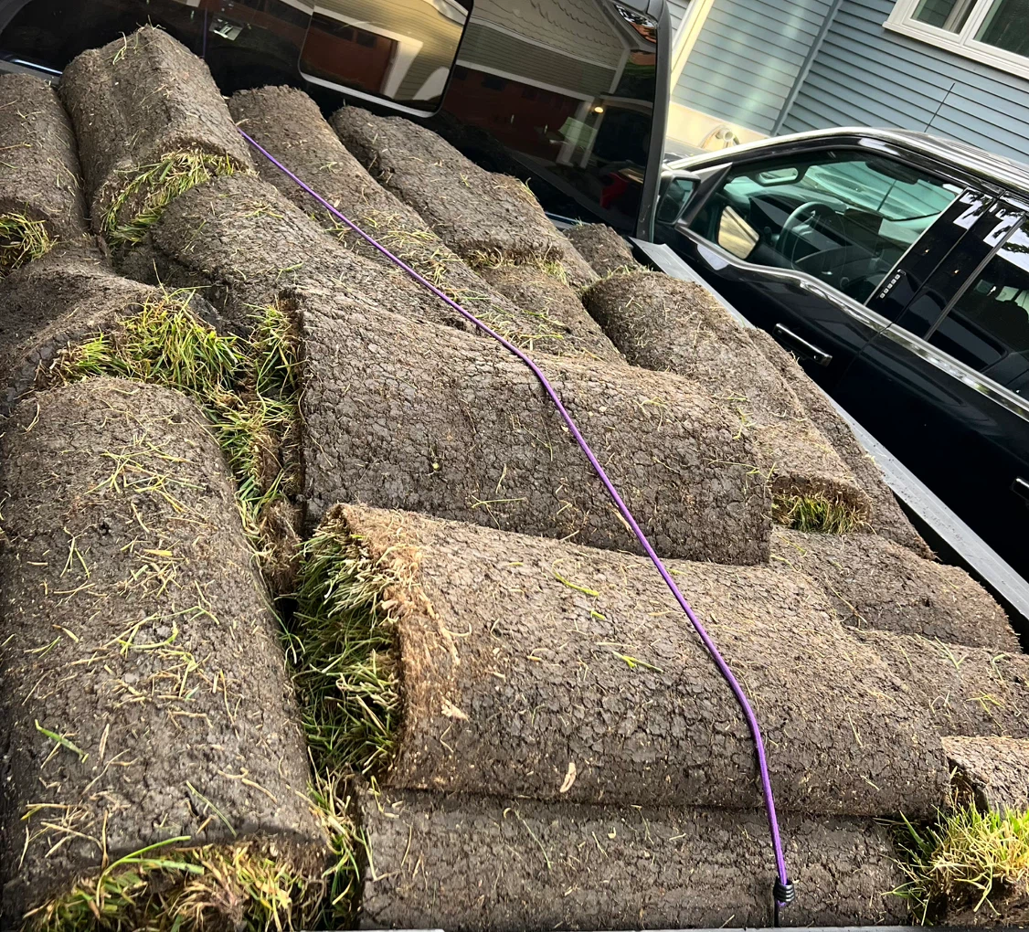 Fresh Sod Rolls - Ready for Your Lawn 9 Left - photo 4