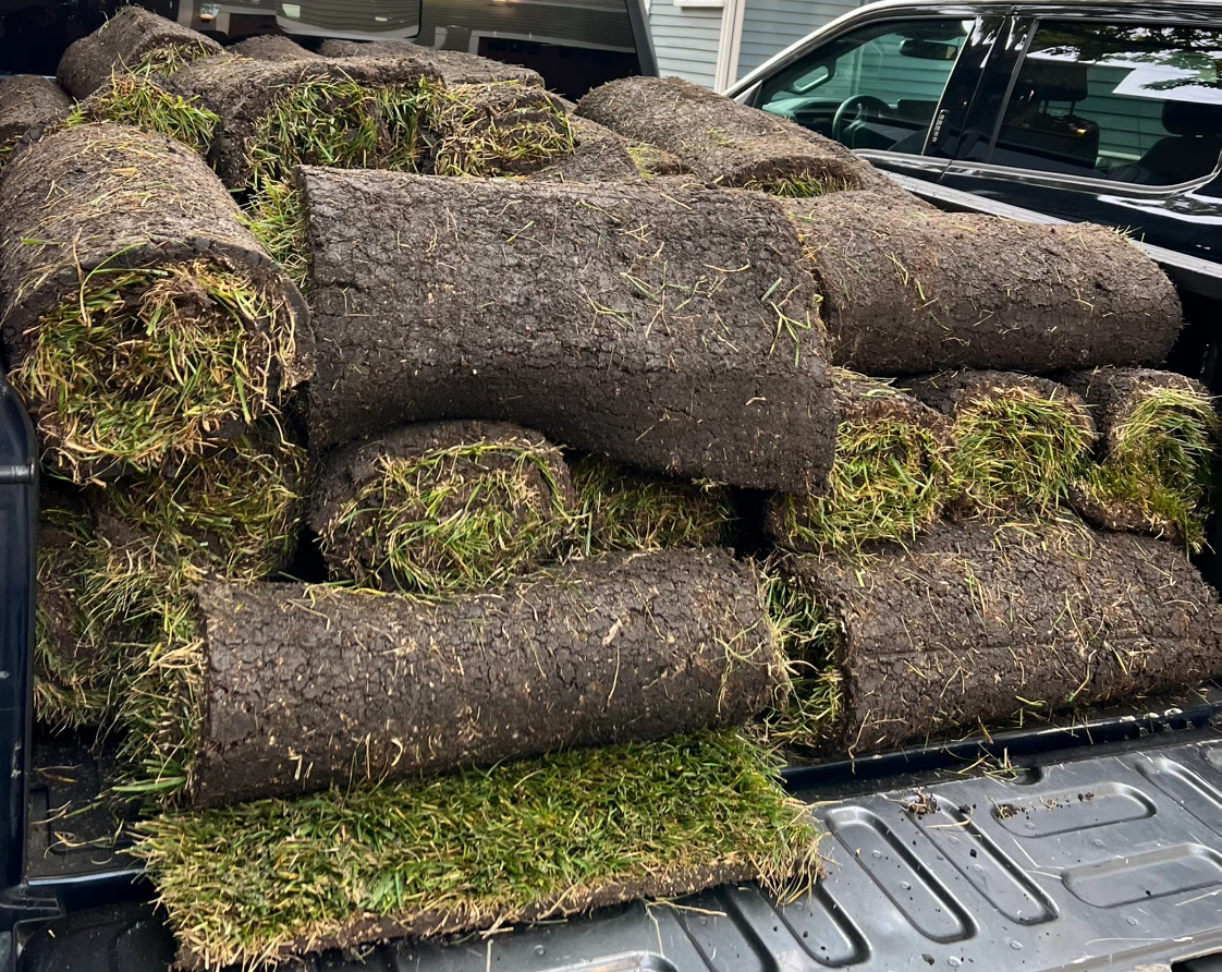 Fresh Sod Rolls - Ready for Your Lawn 9 Left - photo 5