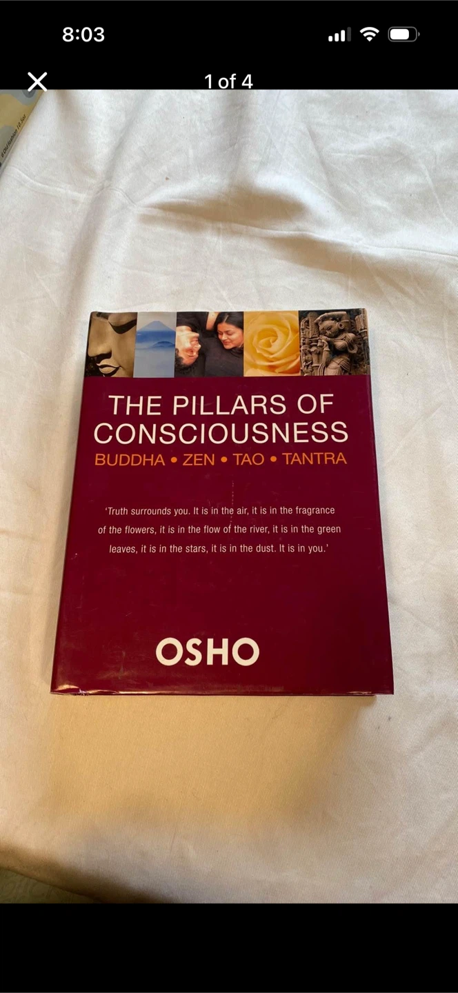 The Pillars Of Consciousness Hardcover Book