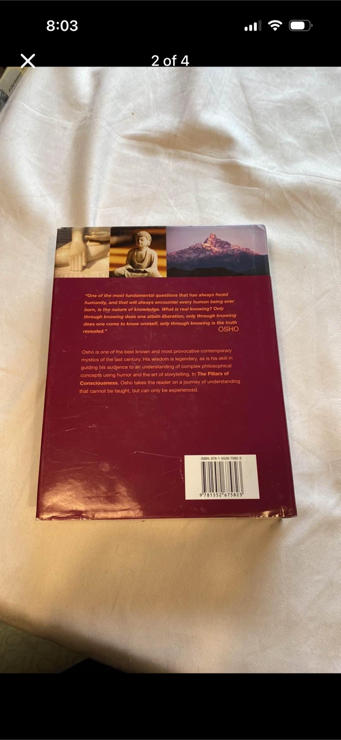 The Pillars Of Consciousness Hardcover Book - photo 2