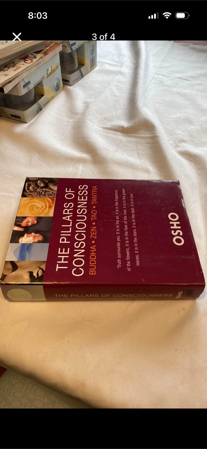 The Pillars Of Consciousness Hardcover Book - photo 4