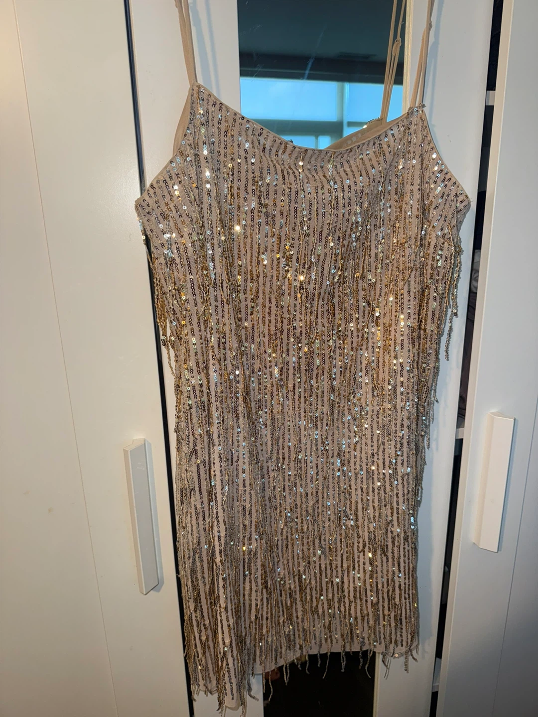 H&M Sequin Fringe Dress