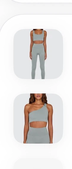 Activewear (Set Active, Fabletics, Lululemon, Aritzia)