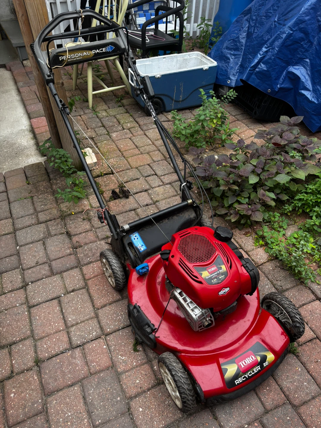 Toro Recycler 22" Personal Pace Lawnmower