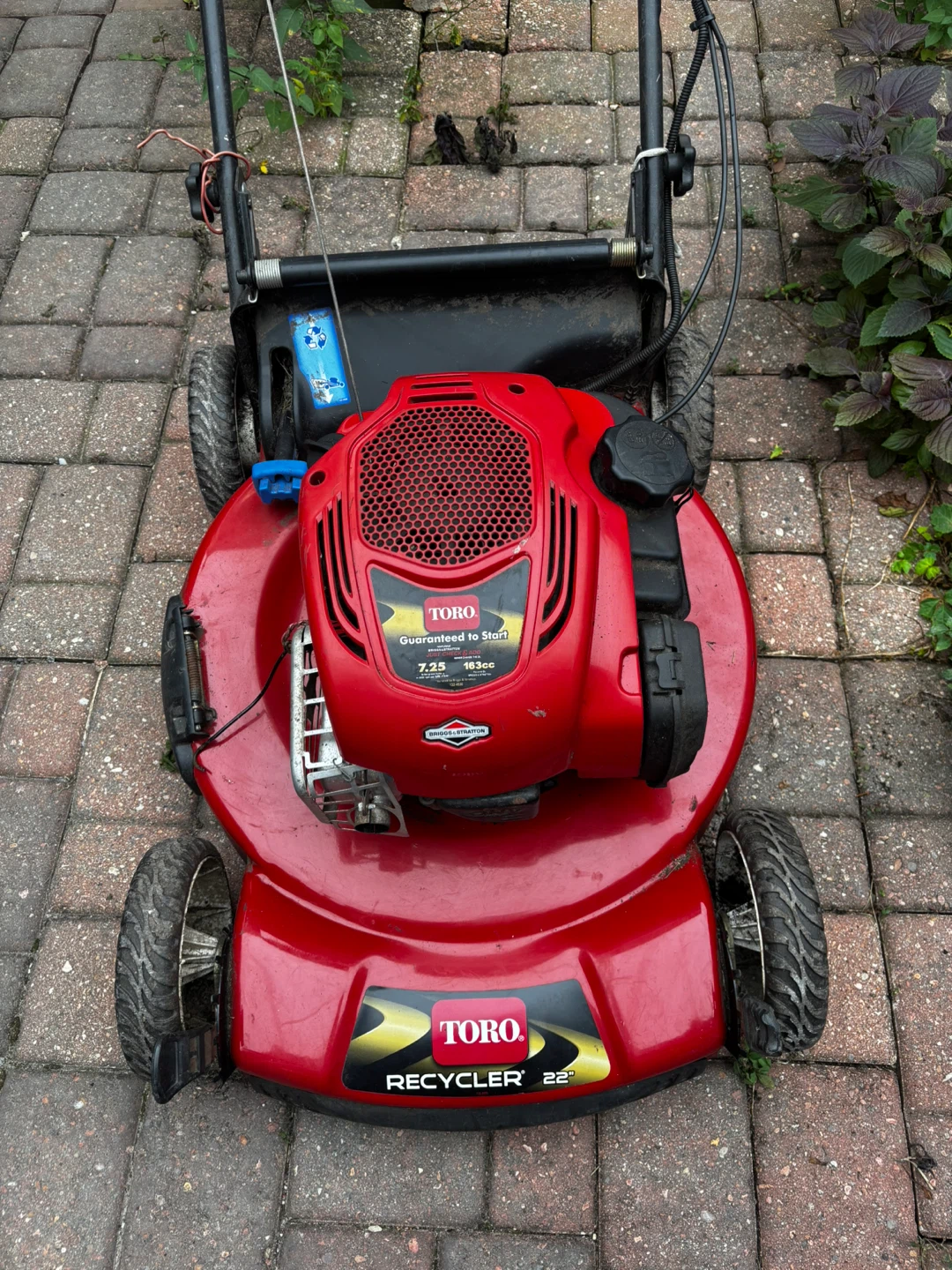 Toro Recycler 22" Personal Pace Lawnmower - photo 2