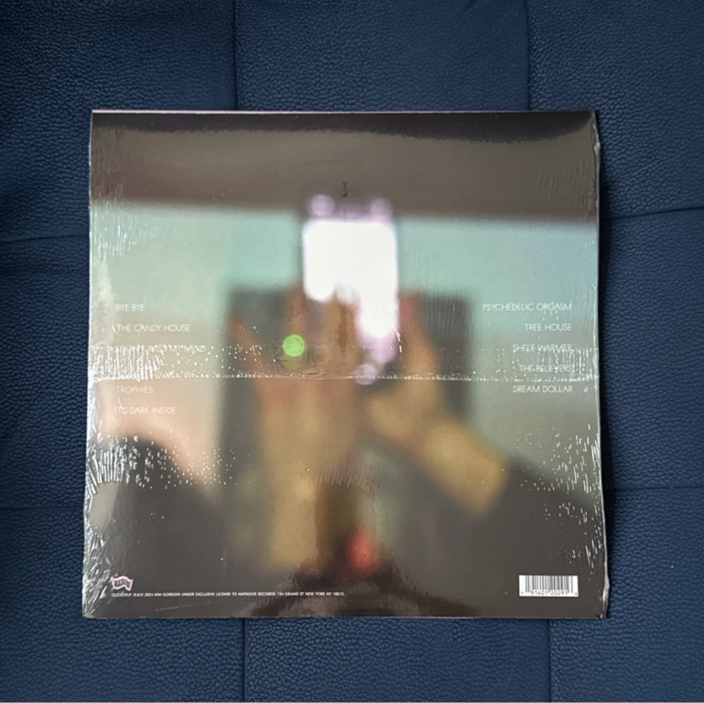 Kim Gordon LP - photo 2