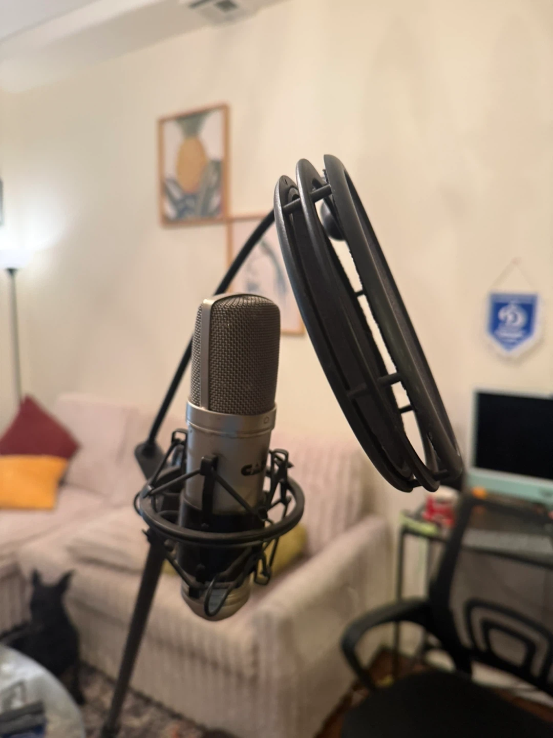 CAD GXL2200 Condenser Microphone - photo 2