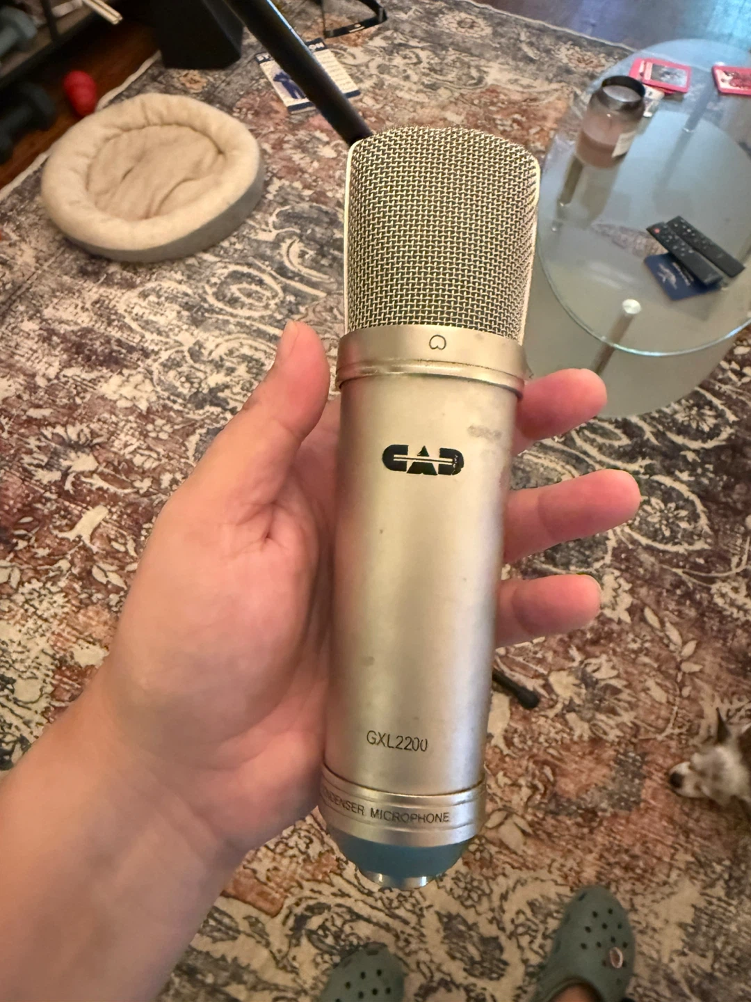 CAD GXL2200 Condenser Microphone - photo 3