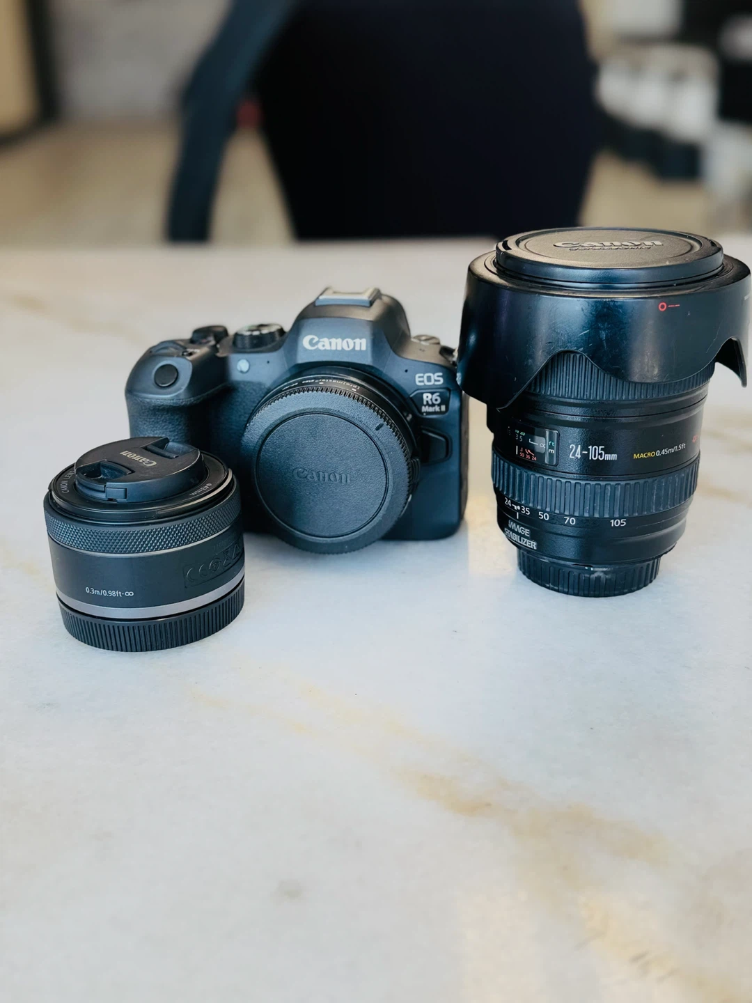 Canon EOS R6 Mark II Mirrorless Camera with 50mm Lens