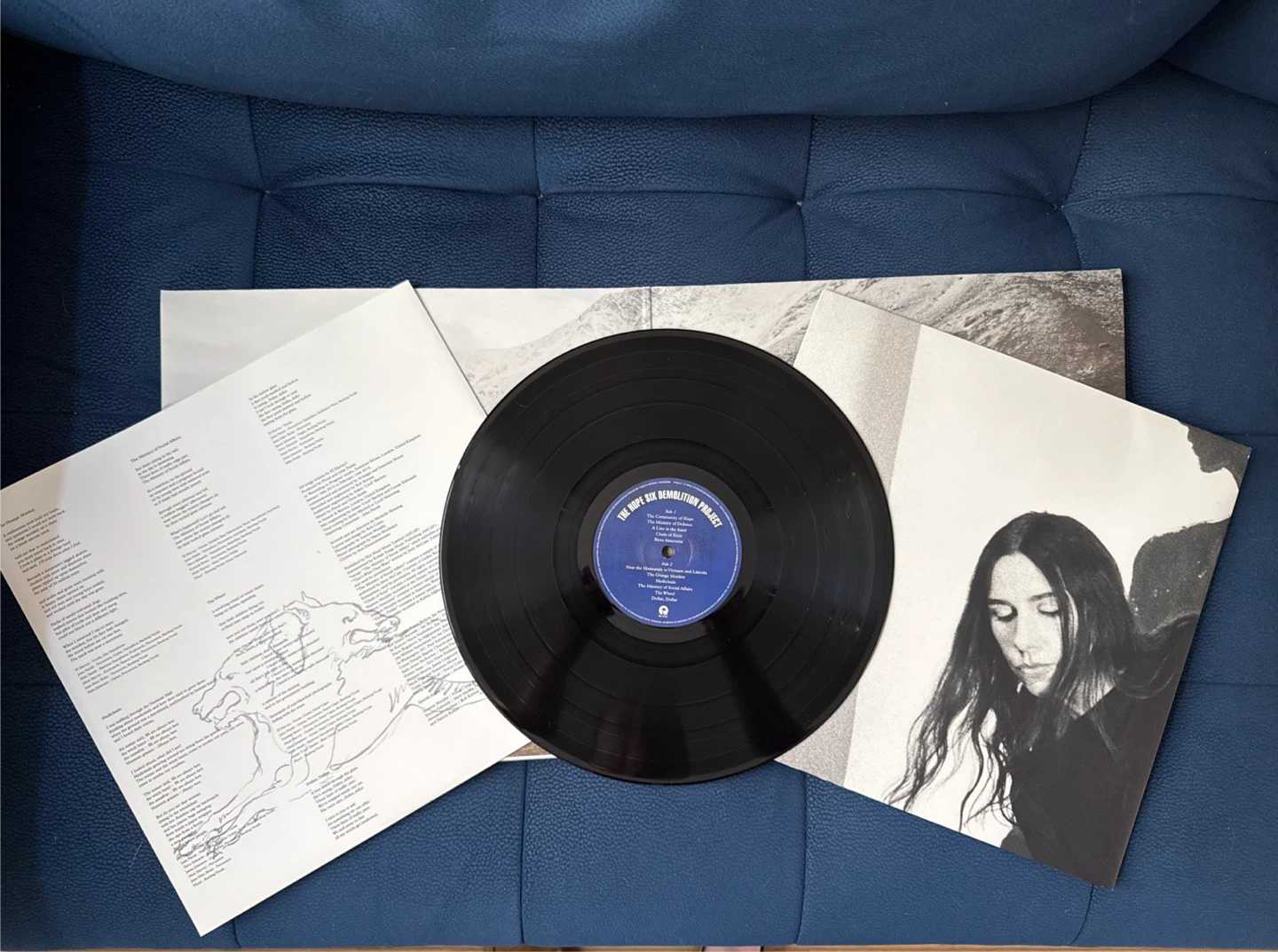 PJ Harvey vinyl - photo 4