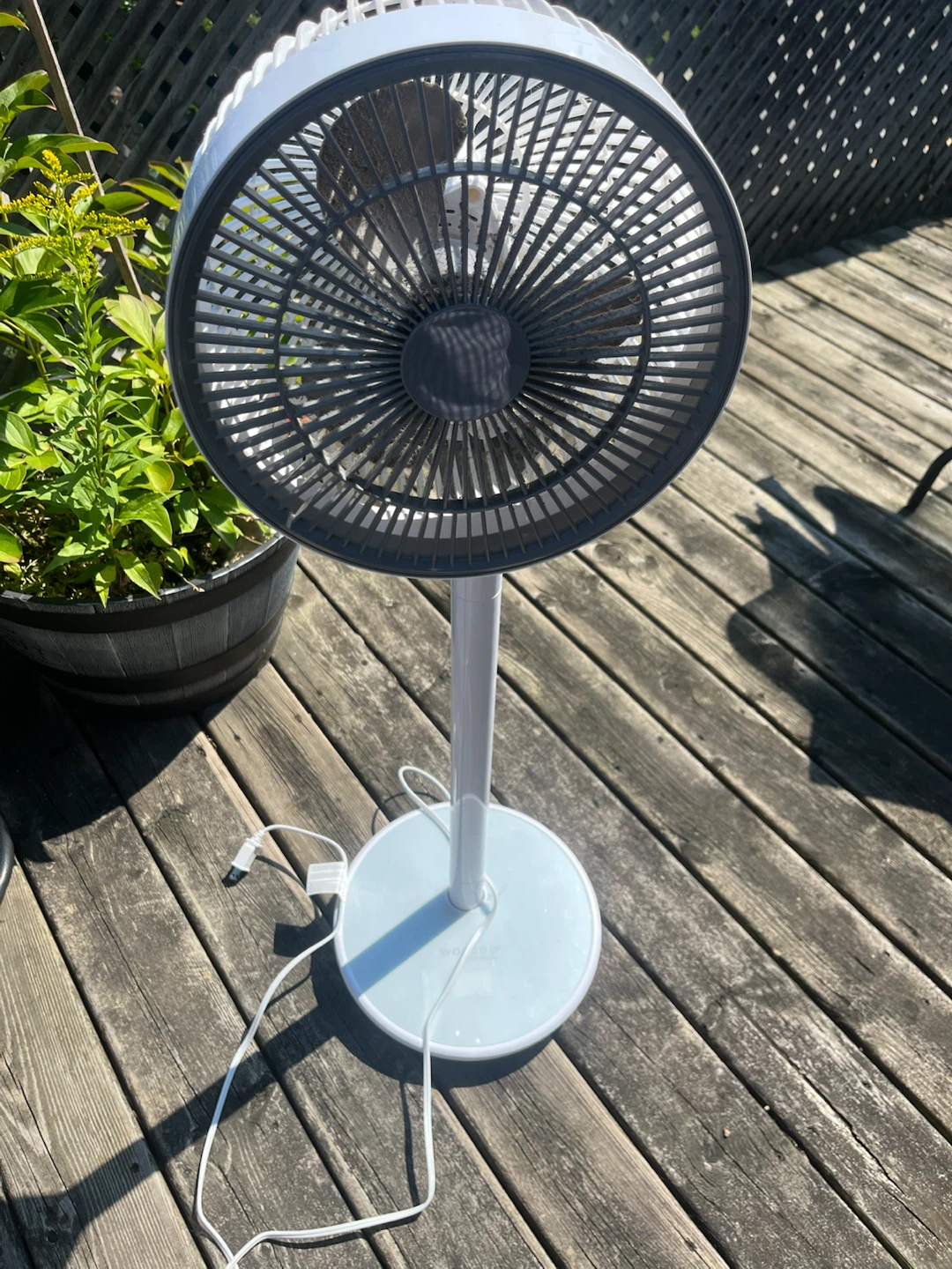 WOO ZOO Pedestal Fan