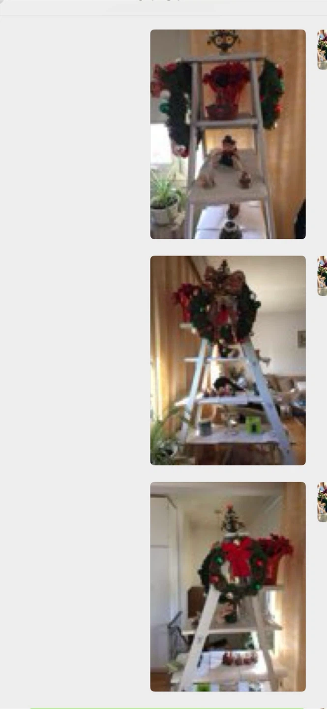 White Ladder Shelf Unit - photo 3