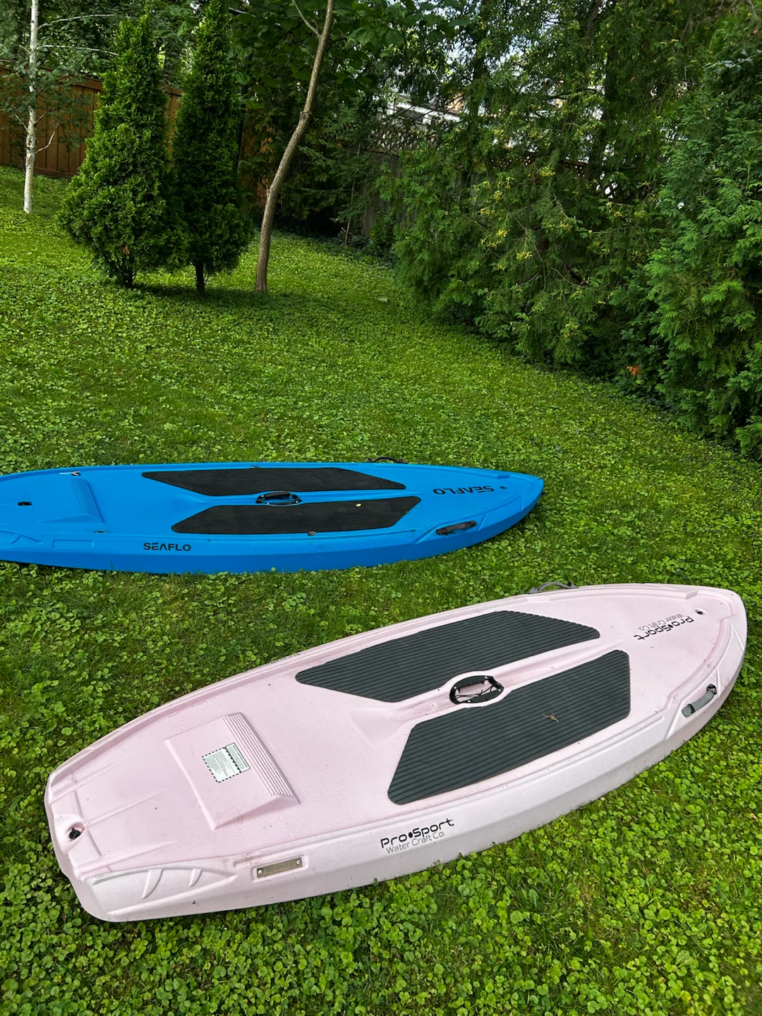 ProSport & SeaFLO Water Scooters - photo 4