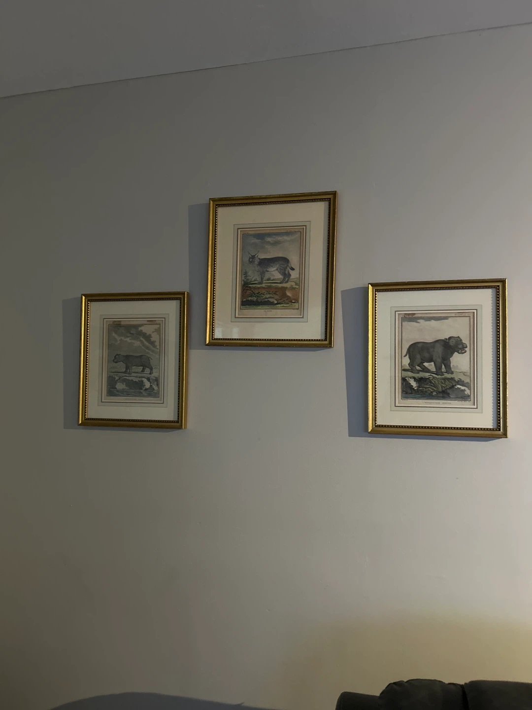 Framed Art Prints
