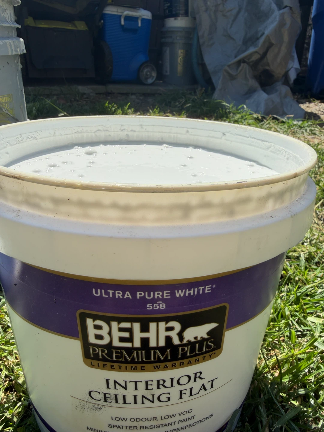 Behr Premium Plus Interior Ceiling Flat Paint - Ultra Pure White - photo 2