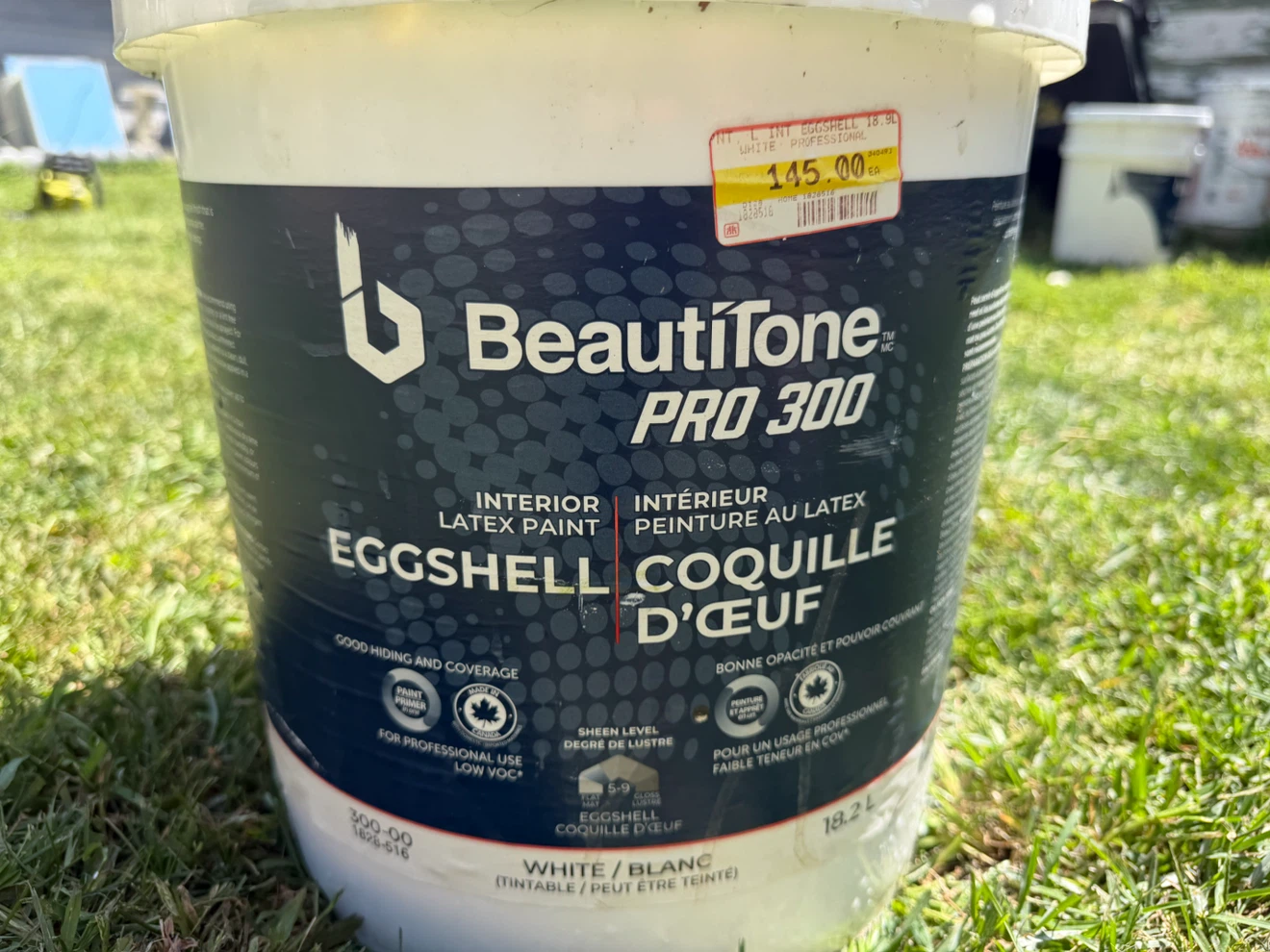 BeautiTone Pro 300 Interior Latex Paint - Eggshell White