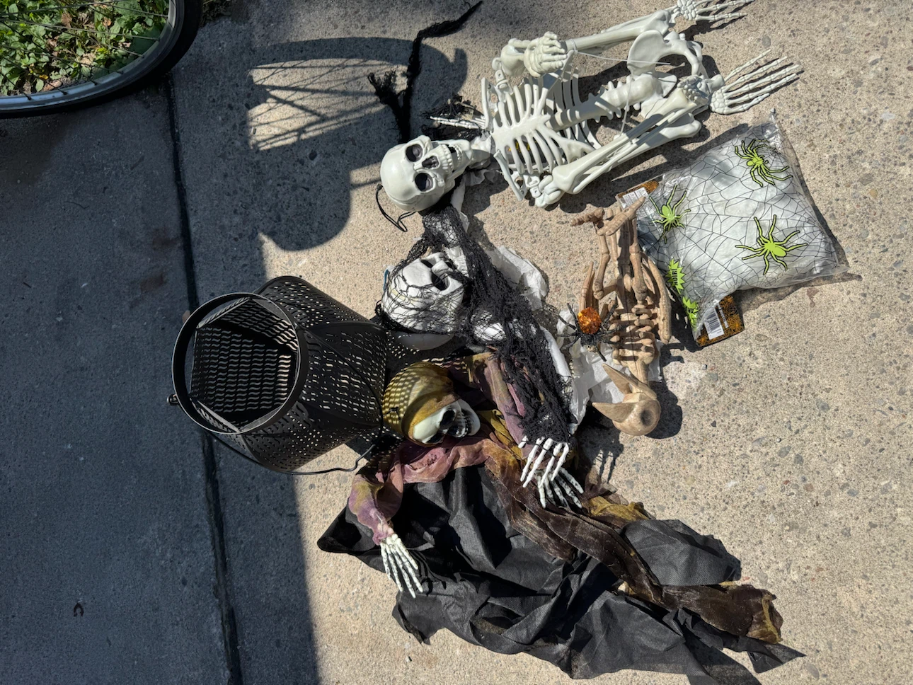 Halloween Decorations - Skeletons, Spider Web, & Decor