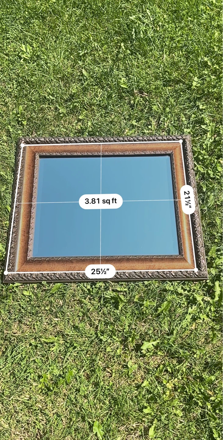 Ornate Framed Mirror (8lbs) - photo 3