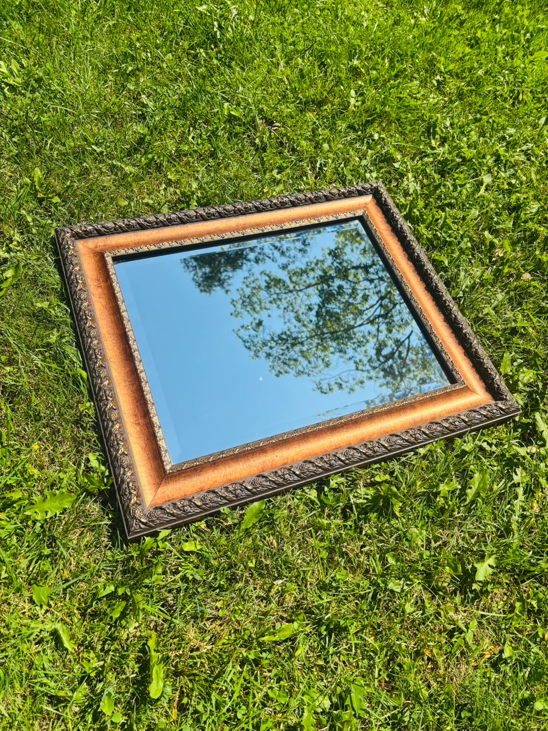 Ornate Framed Mirror (8lbs)