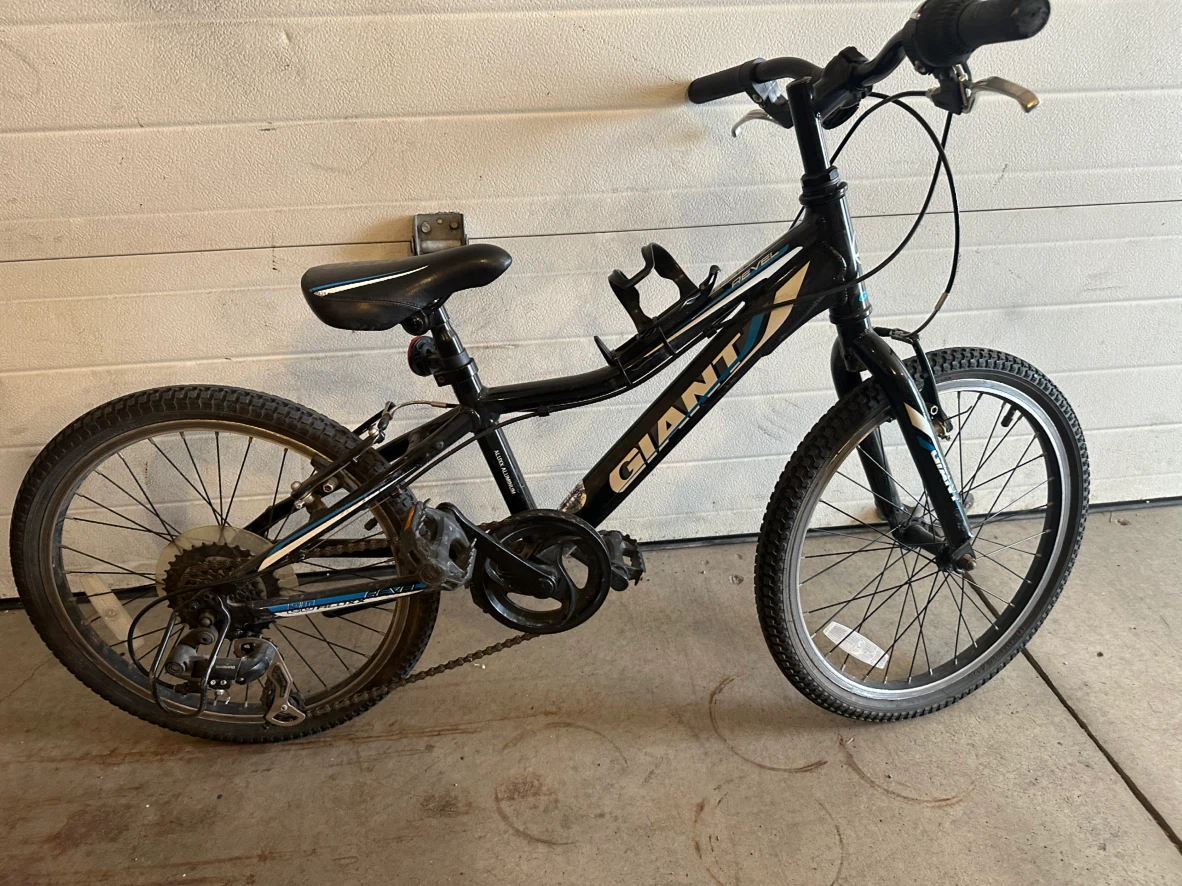 Giant Revel Kids Mountain Bike