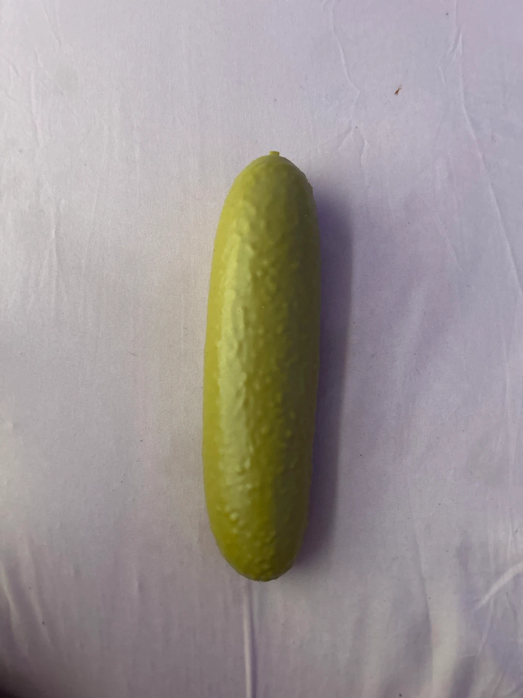 Jumbo squishy  Pickle