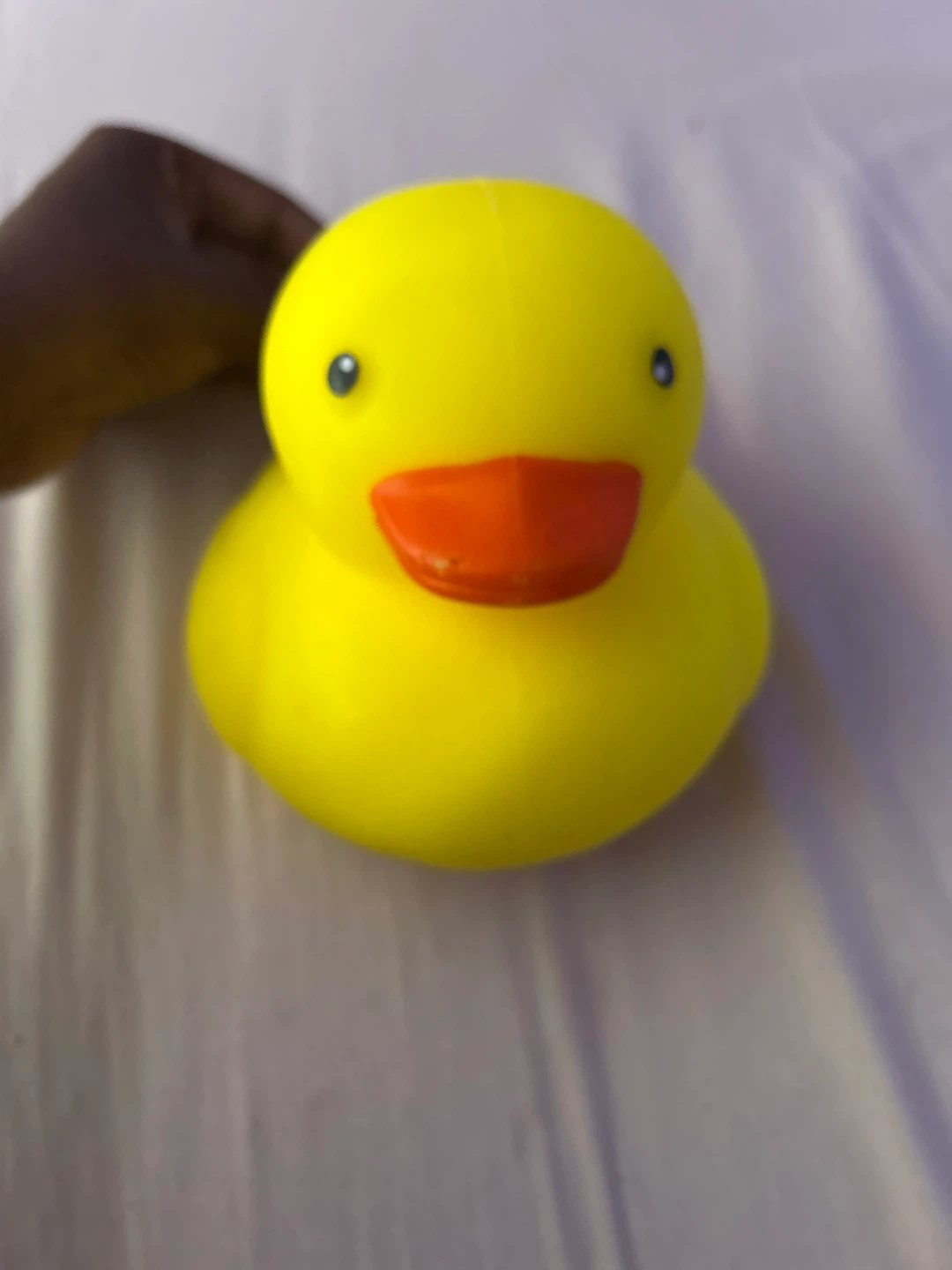 Jumbo squishy toy duck