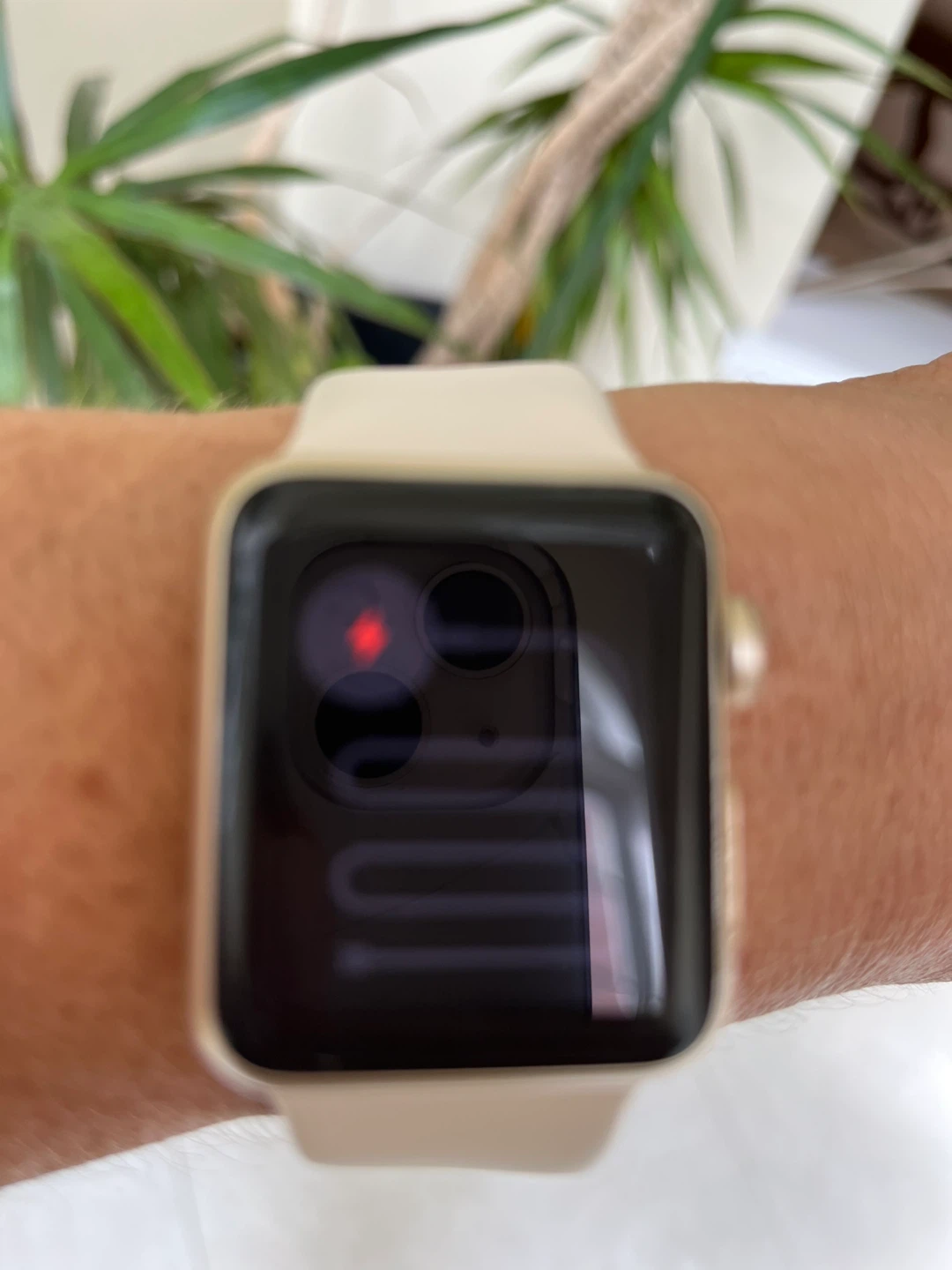Apple Watch - photo 3