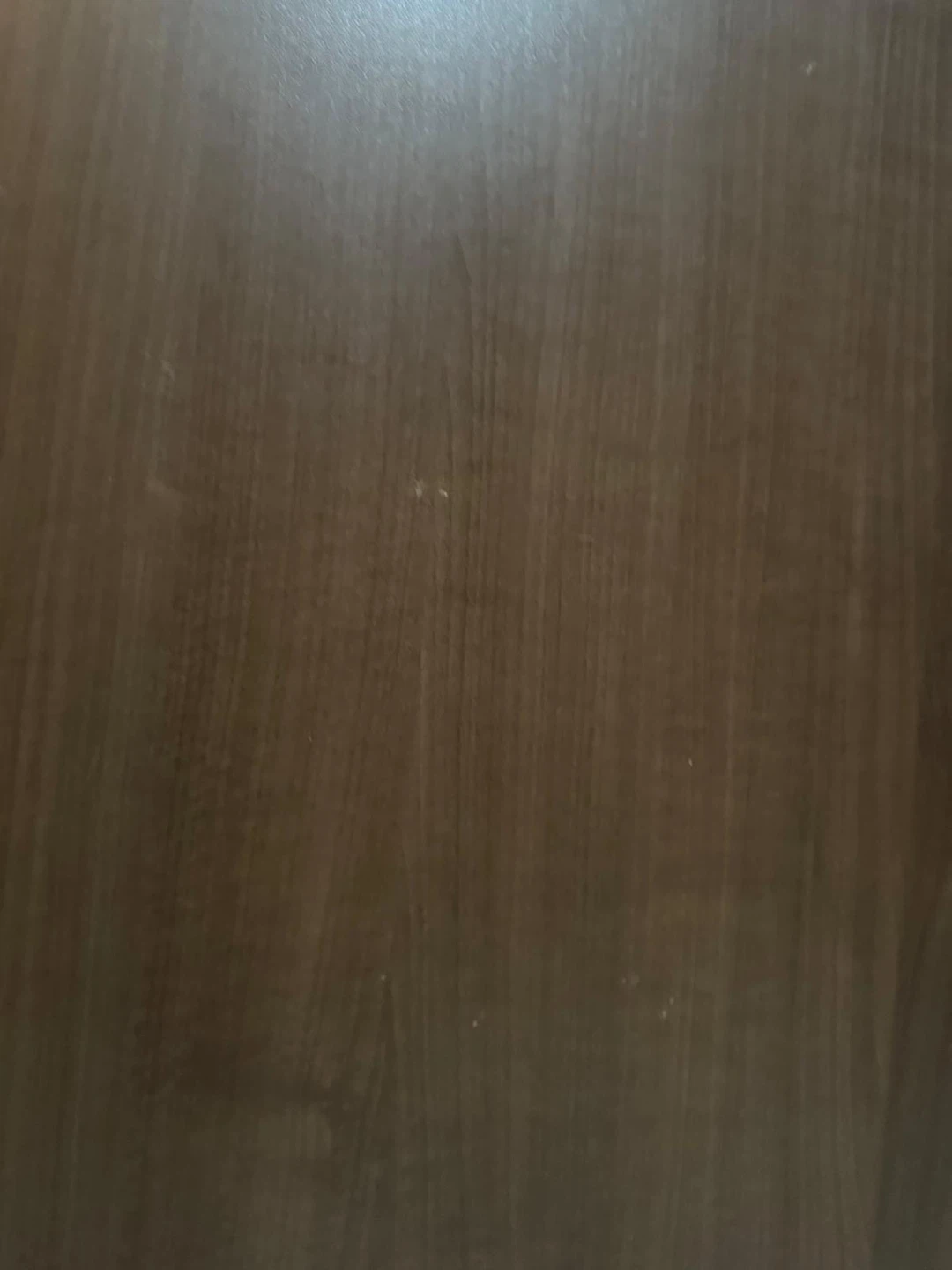 *FREE! MOVING & NEED GONE ASAP* - photo 4