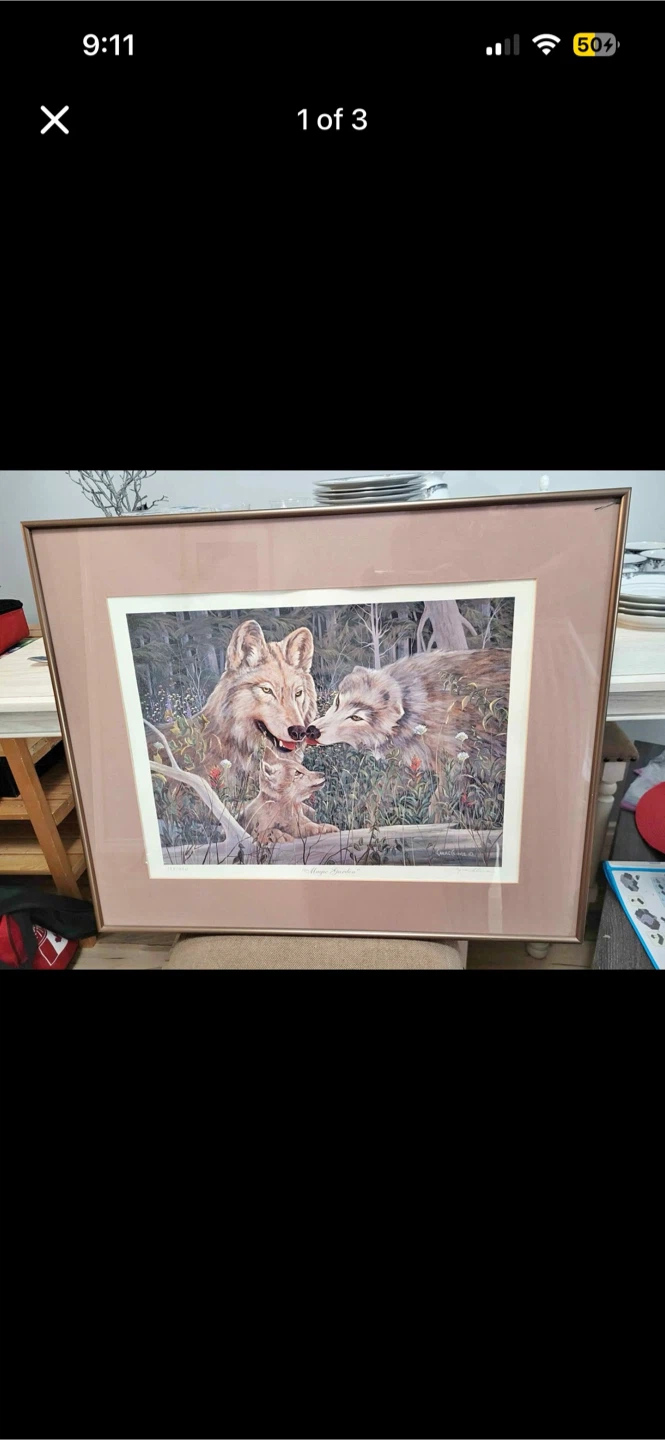 Magic Garden Wolf Family Framed Print by MacLouise