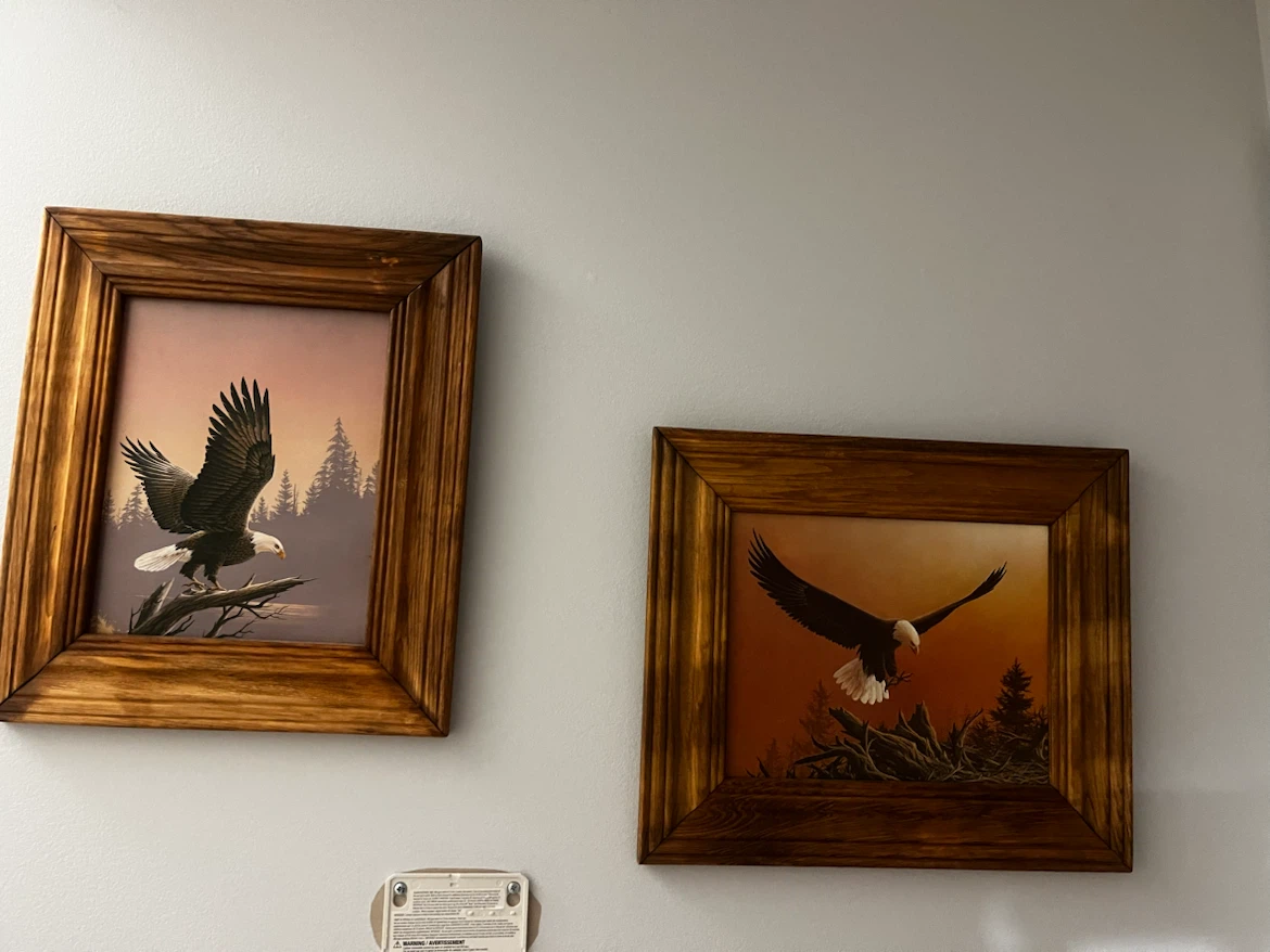 Framed Bald Eagle Prints (Set of 2)