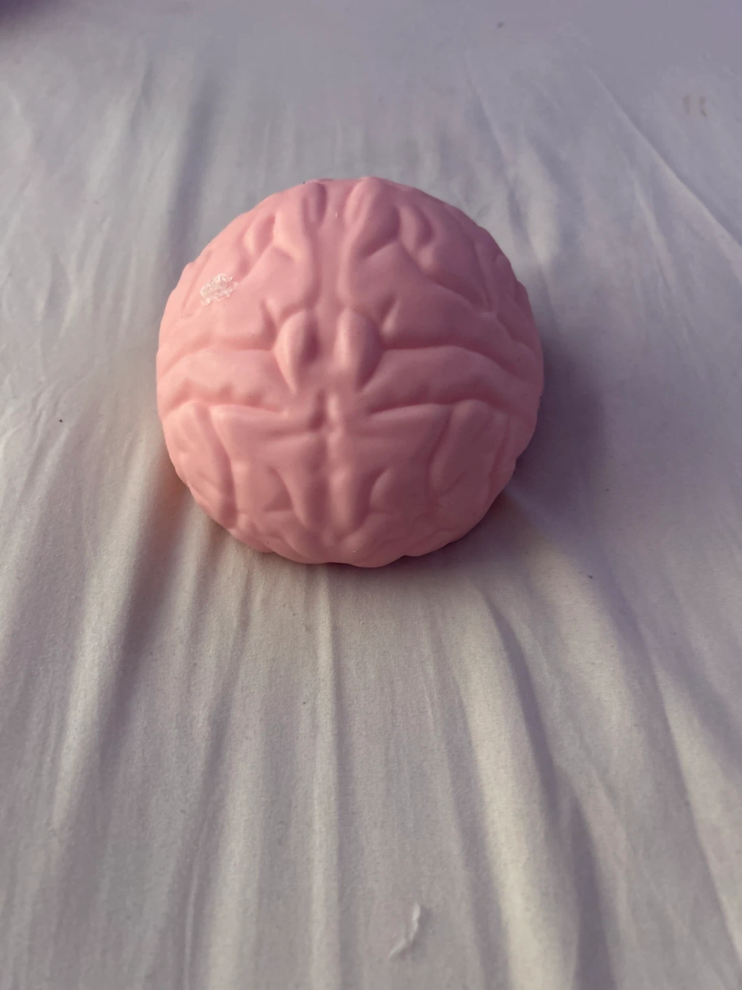 Jumbo Pink Brain Squishy