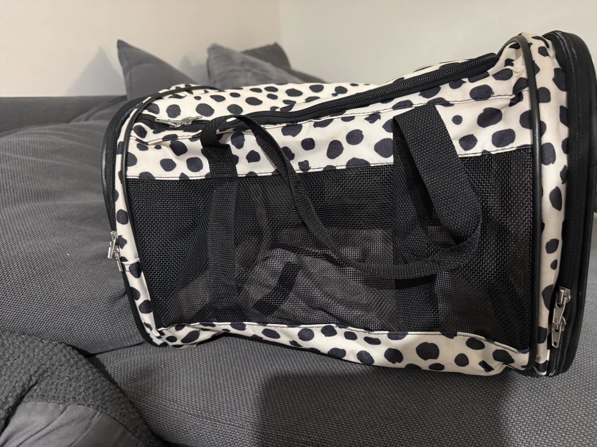 Small fabric pet carrier