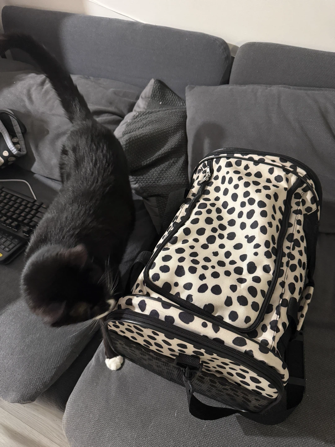 Small fabric pet carrier - photo 4
