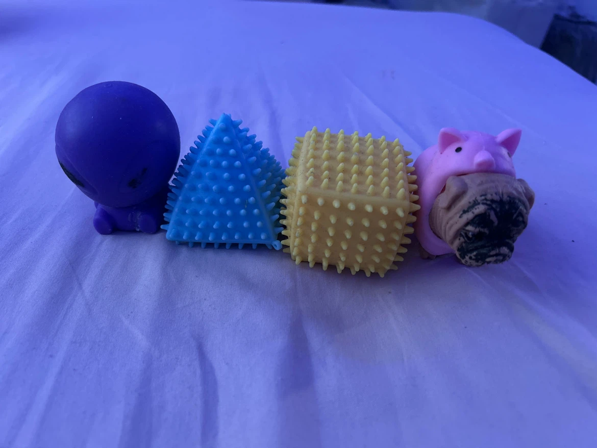 crunchy squishy’s