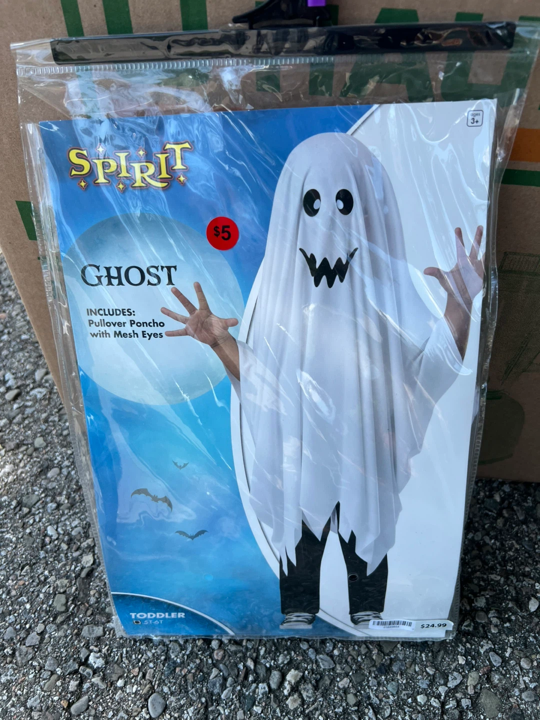 Spirit Ghost Costume - Toddler 5T-6T