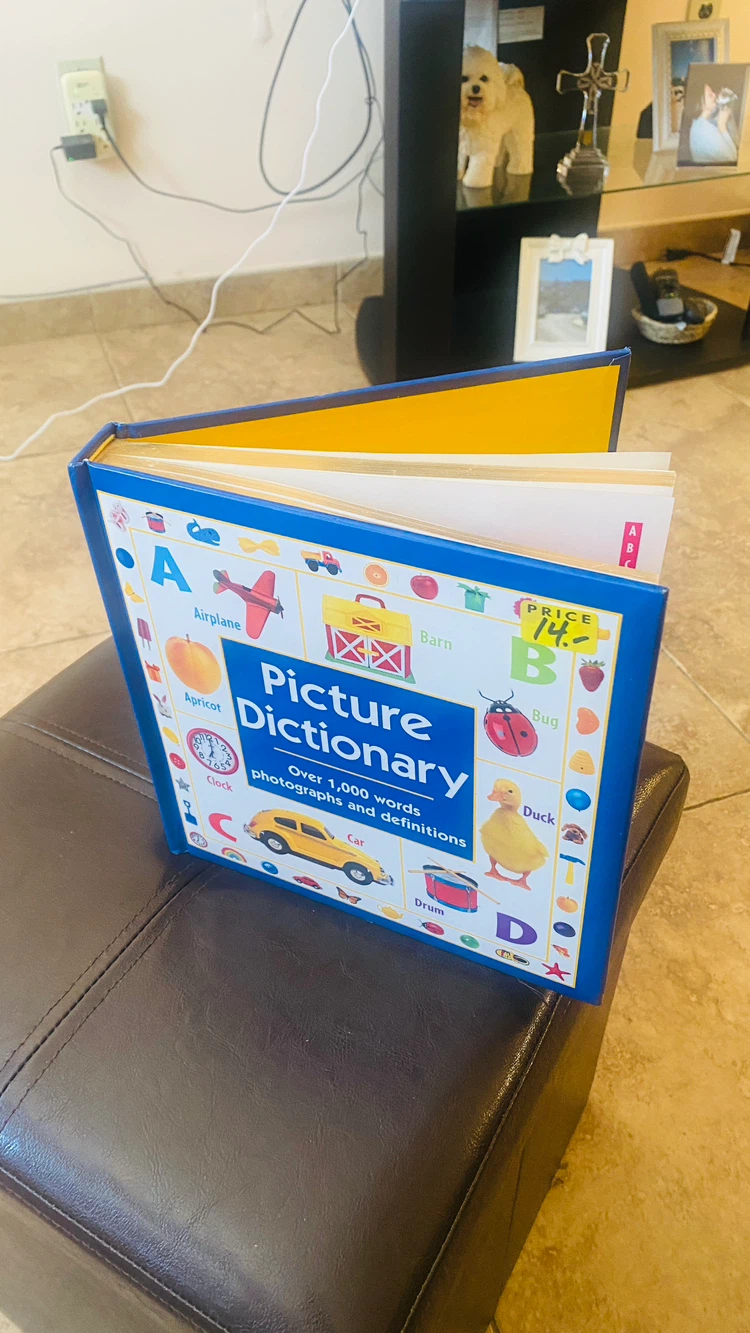 Picture Dictionary - photo 2