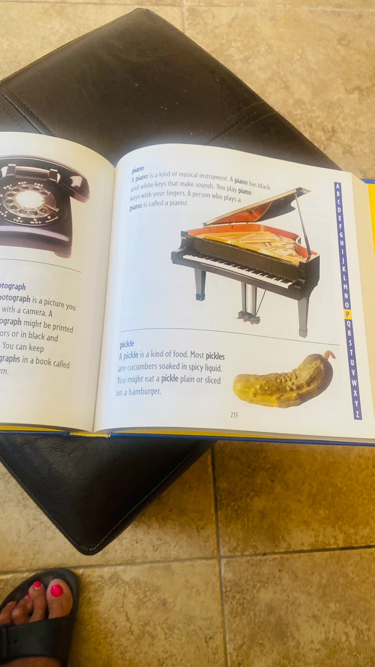 Picture Dictionary - photo 4