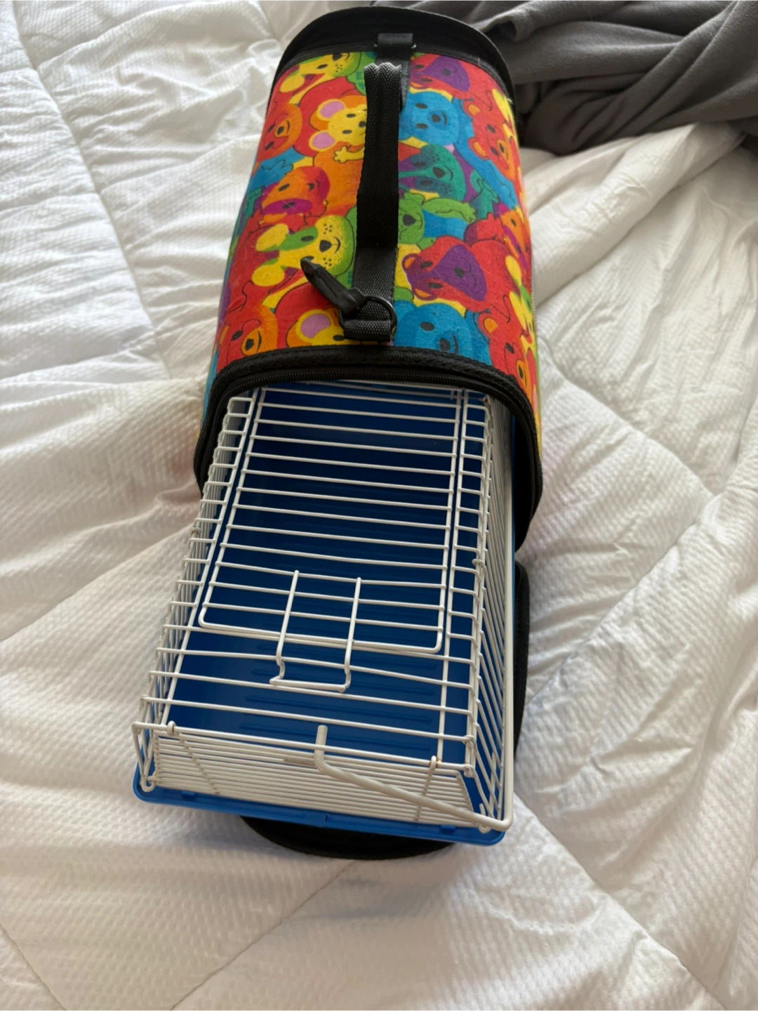 Portable Small Animal Carrier with Fun Bear Print