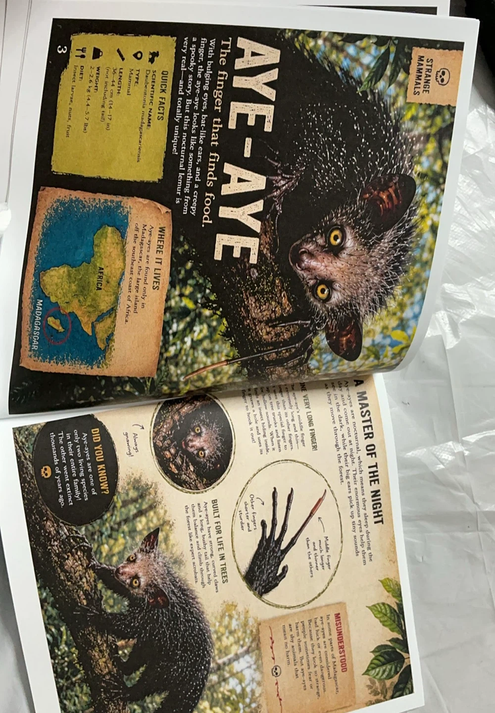 Fun book for kids now available - photo 4