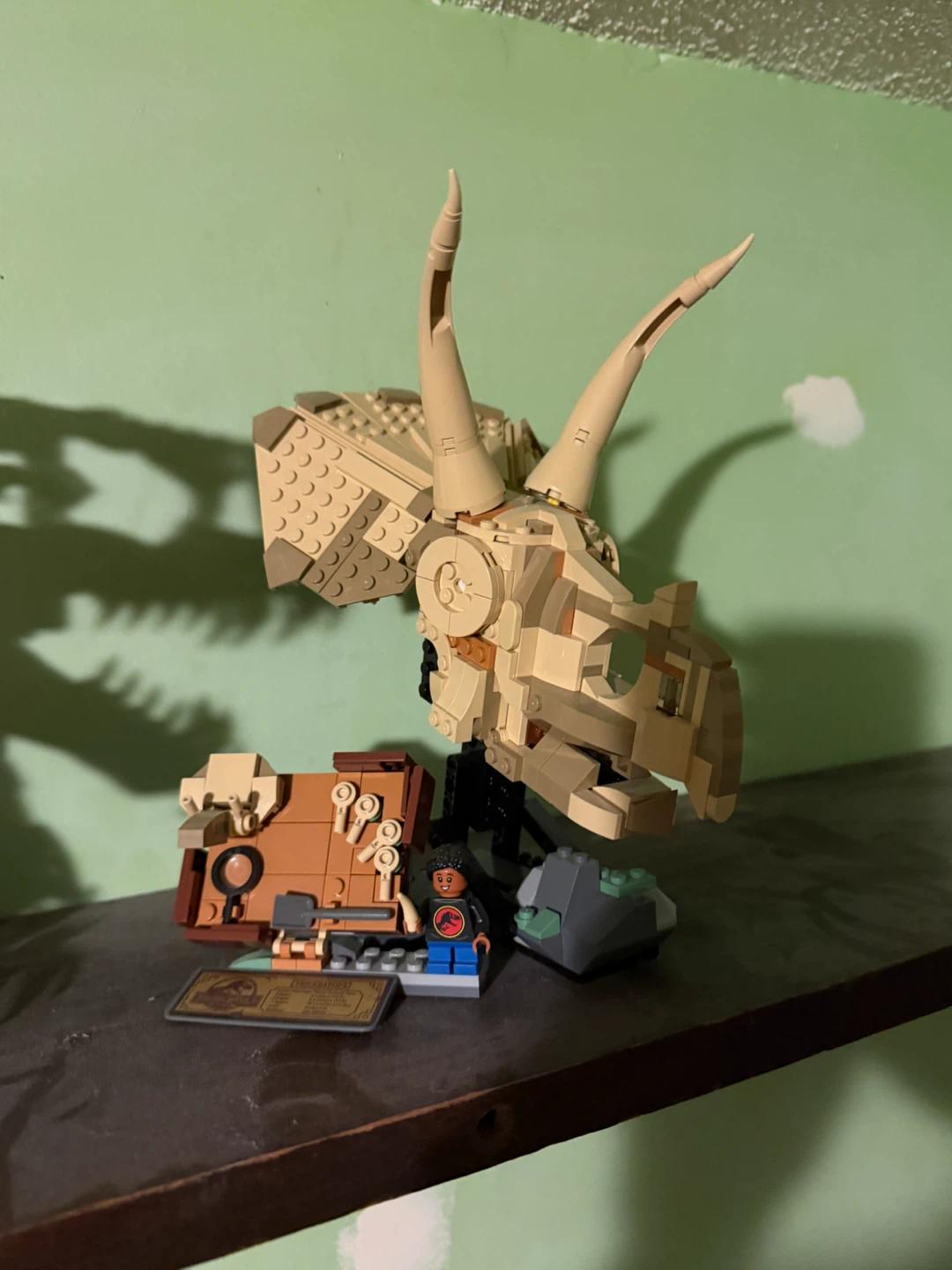 LEGO Jurassic World Triceratops Dinosaur Head Display