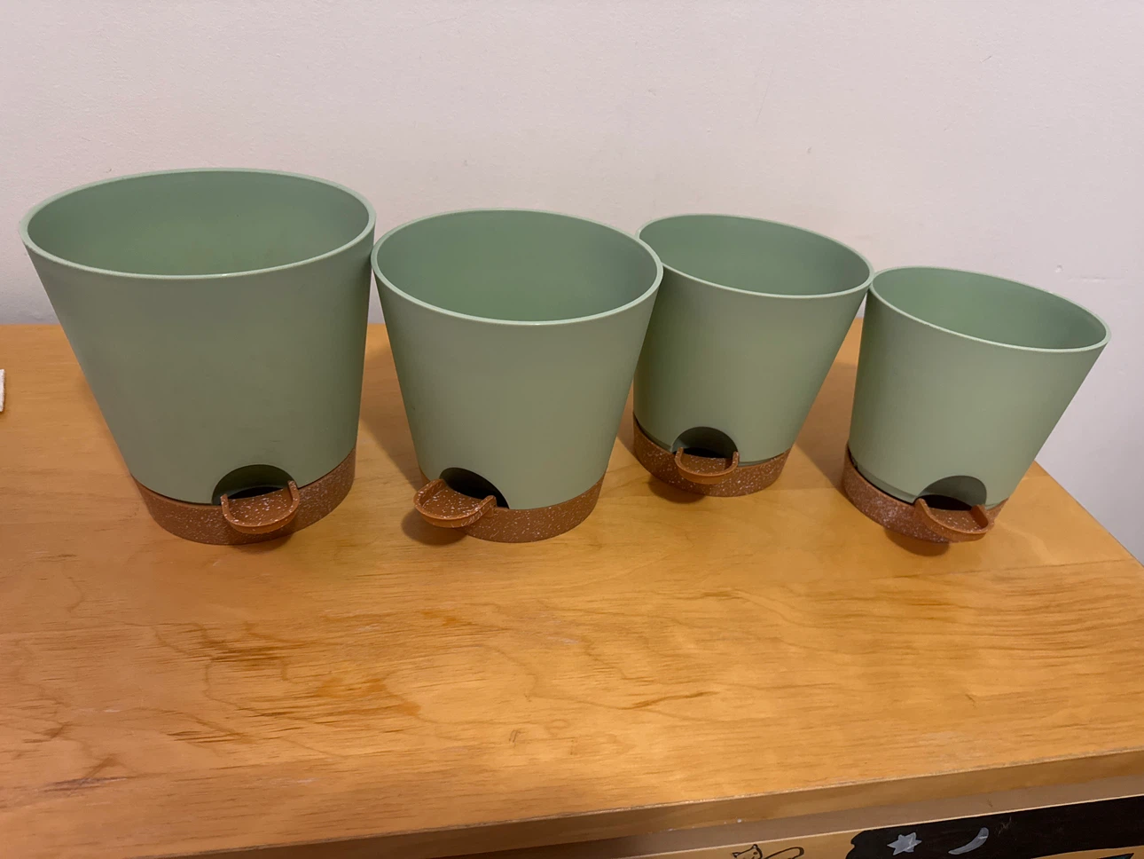 New Set of 4 Sage Green Plant Pots with Pedals