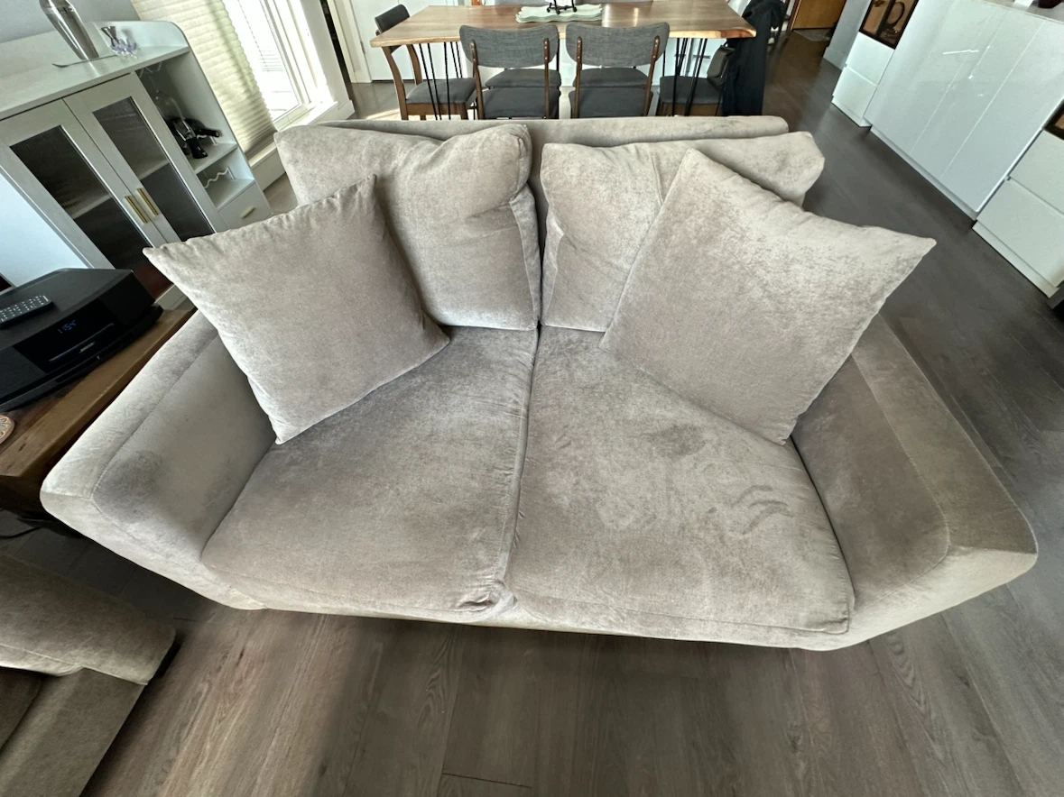 Couch and Loveseat