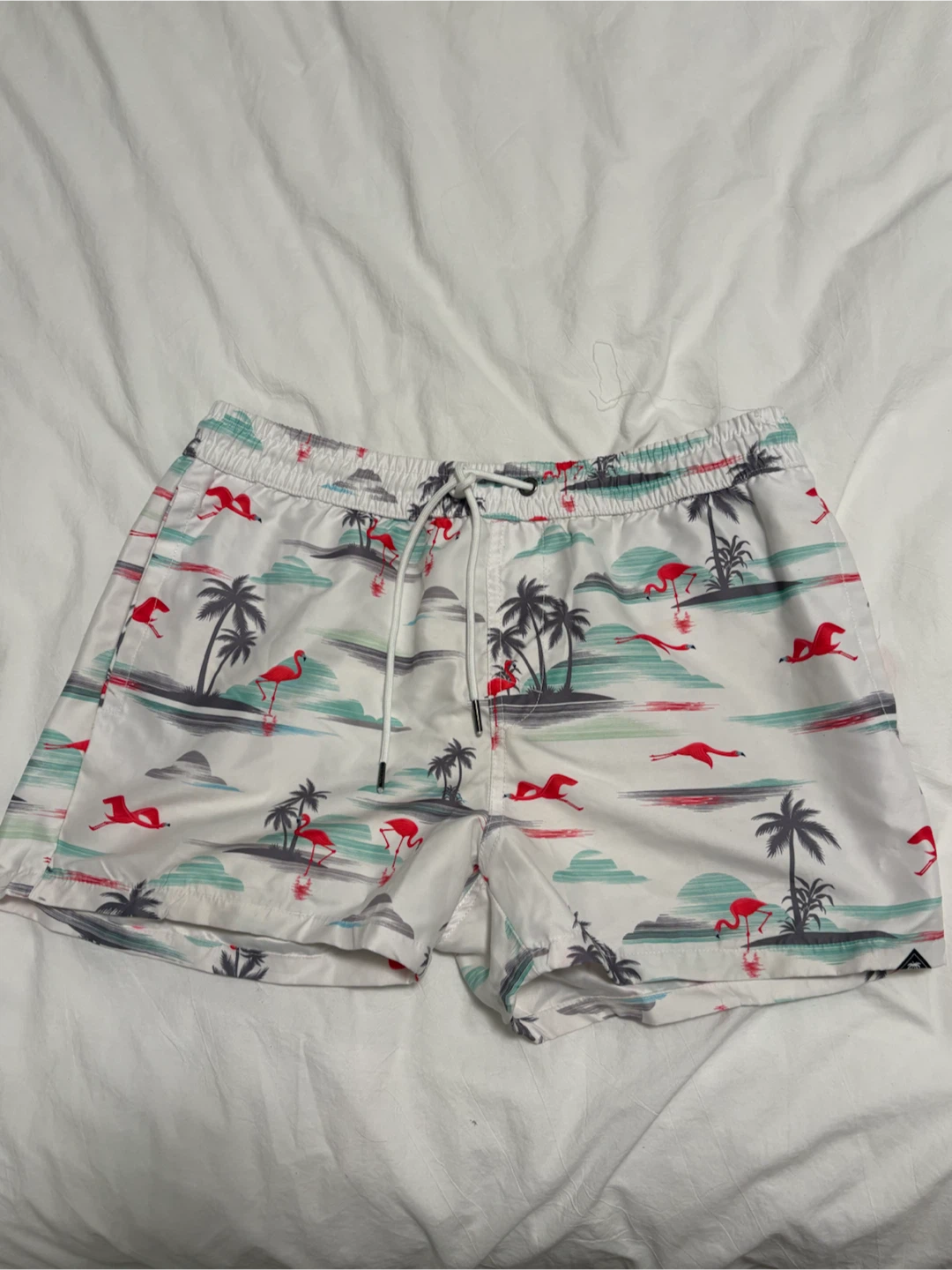 Men's Swim Trunks/Shorts