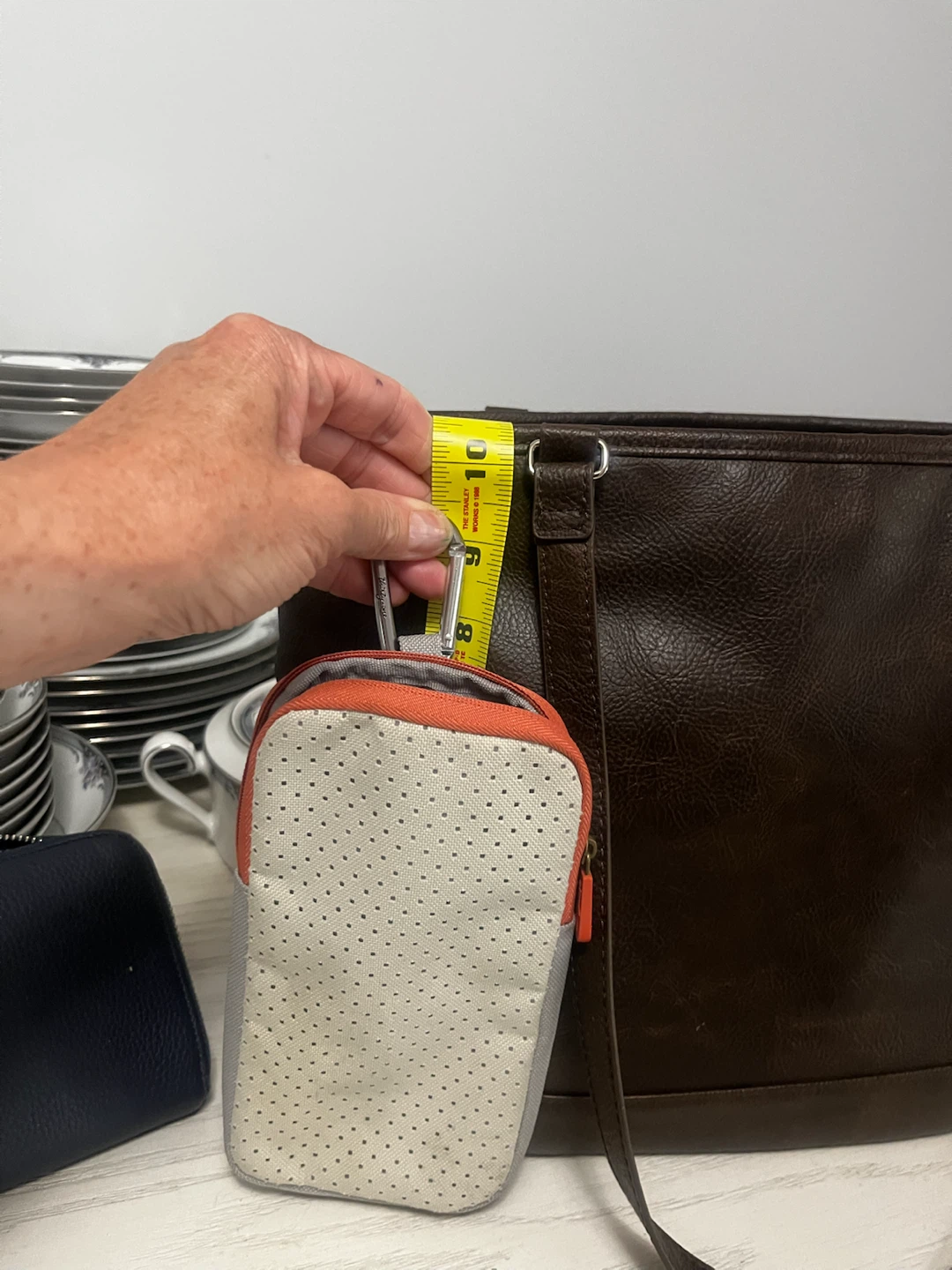 Small Zippered Pouch with Carabiner Clip