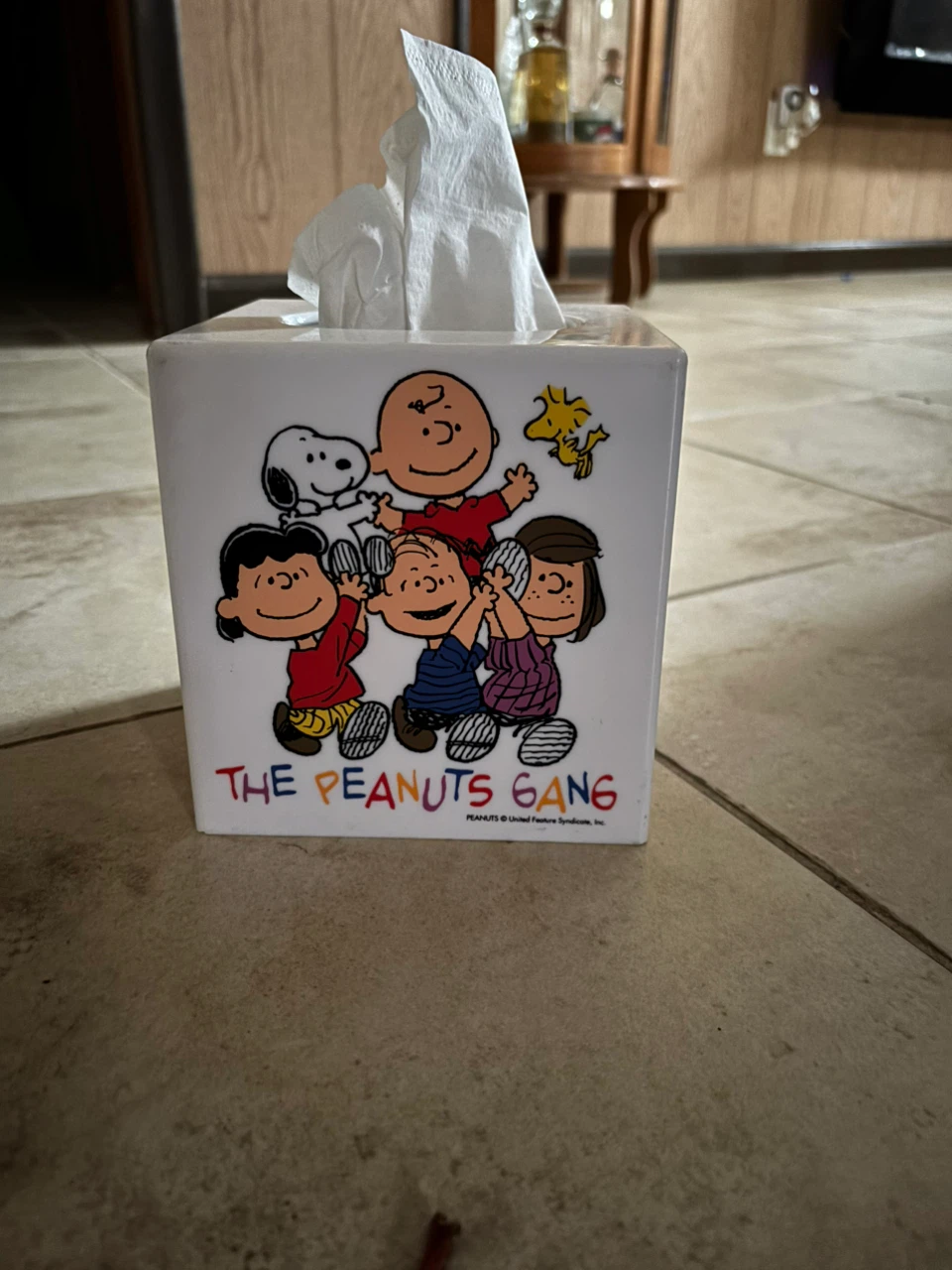 The Peanuts Gang Tissue Box Cover