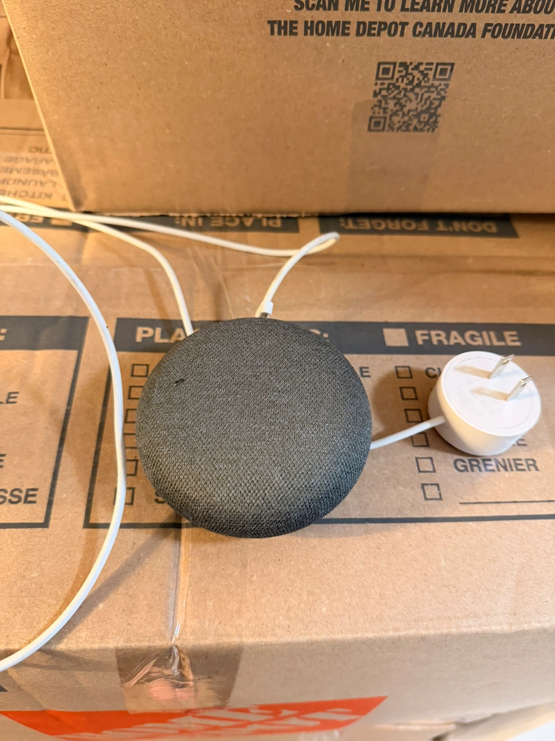 Google Nest Mini Smart Speaker