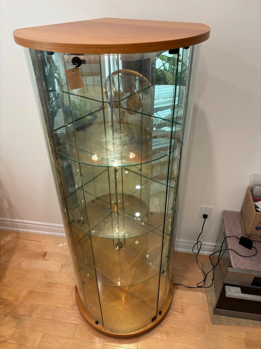Curved Glass Display Cabinet with Wood Top