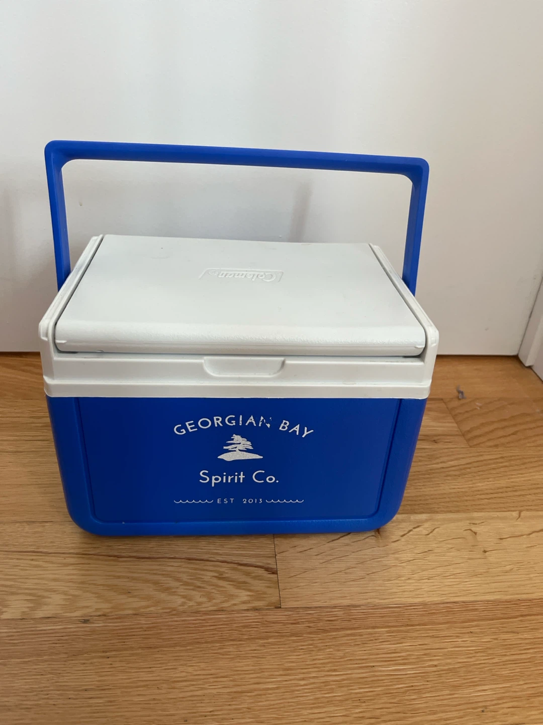 Coleman Take Six Mini Cooler